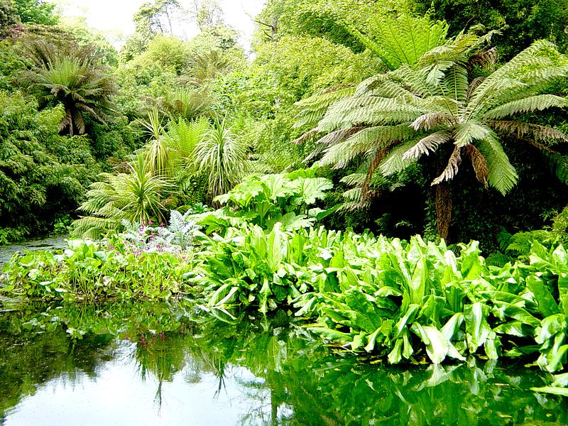 Illustration for article titled The World's Strangest and Most Magnificent Gardens